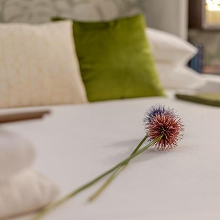 Green Terrace Loft Colosseum Roma Eksteriør bilde